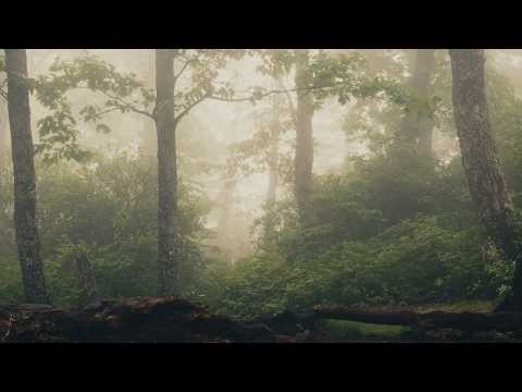 fog
